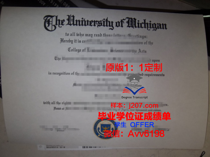 高中毕业证海外本科(高中毕业证海外本科能用吗)