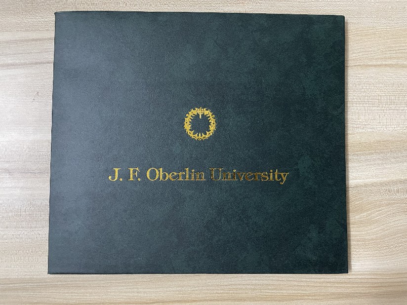 美因茨大学毕业证书图片大全(美因茨大学在哪个城市)