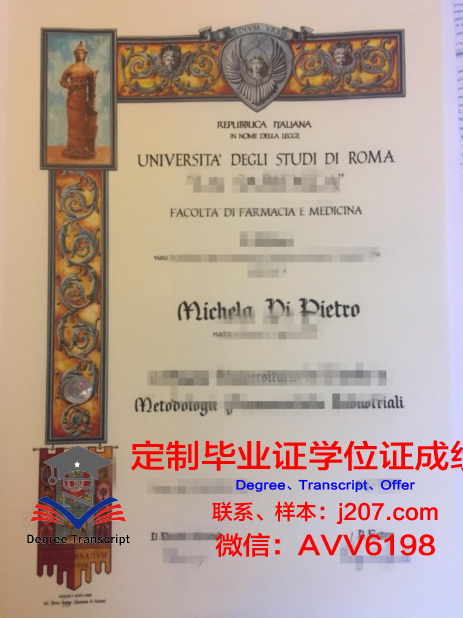 罗马国际社会科学自由大学校园卡