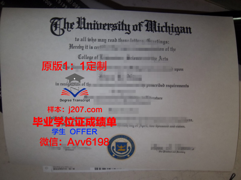 问国外学校要毕业证电子版(国外毕业证有电子版吗)