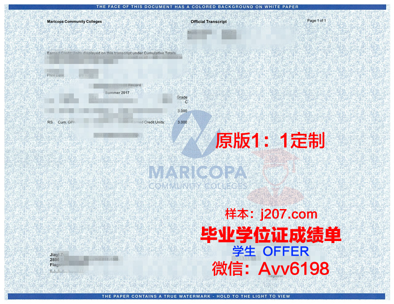 马里博尔大学毕业证是什么样呢(马里博尔足球俱乐部)