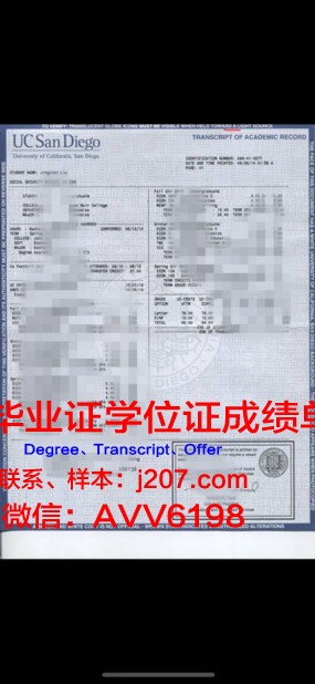 阪大学位成绩单定制：探究背后的市场需求与道德边界