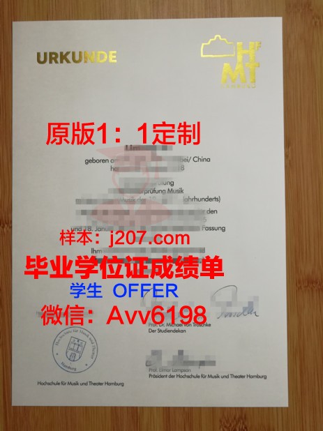 汉堡造型艺术学院学位证(汉堡艺术大学)