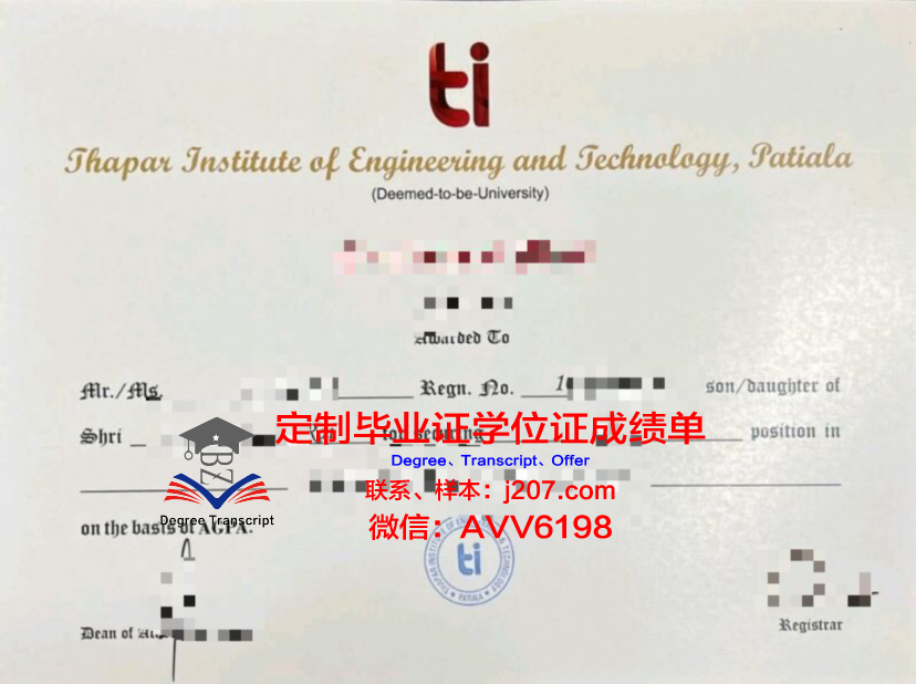 沃罗涅日国立大学diploma证书(沃罗涅日高等技术学院)