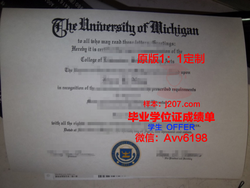罗兹大学毕业证模板(利兹大学毕业证寄丢了)