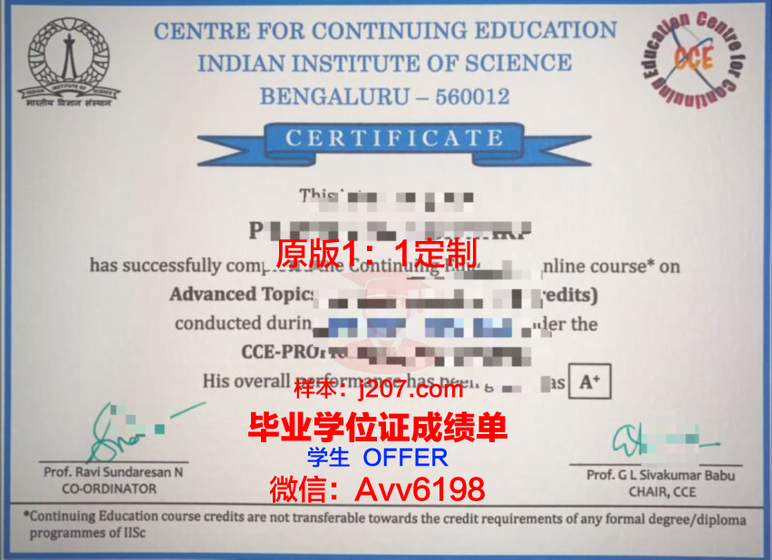 阿兰努斯艺术与社会科学学院毕业证尺寸
