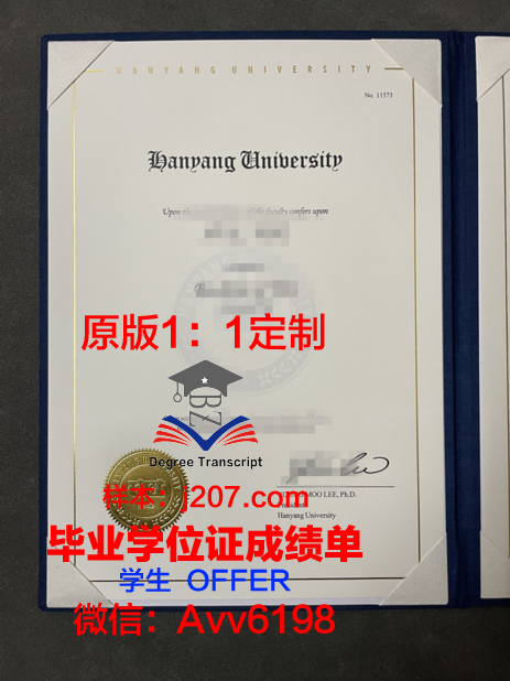 汉阳大学本科毕业证：一份跨越国界的荣誉证书