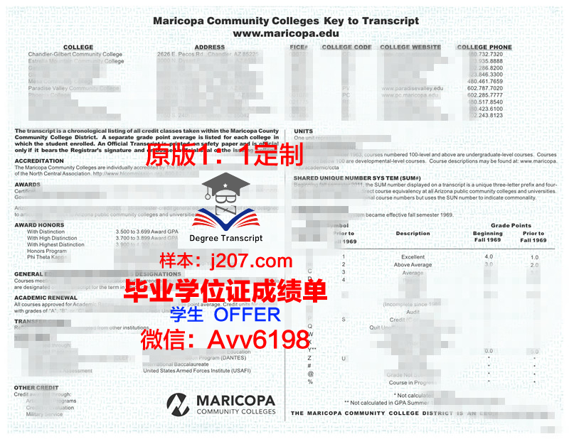 马里乌波尔国立大学成绩单：一张承载希望与梦想的纸