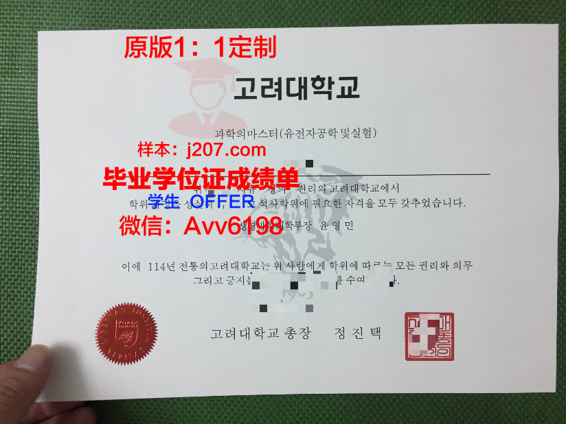 高丽大学毕业证成绩单：一张纸的重量