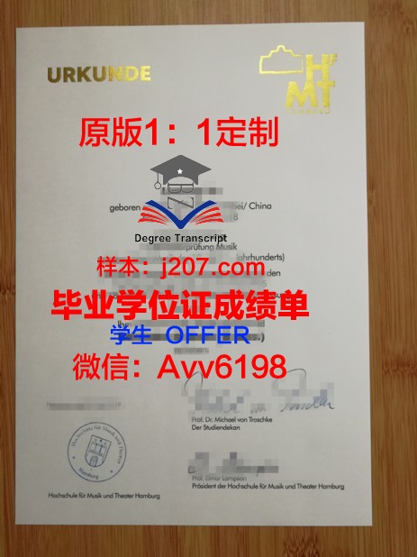 汉堡应用技术大学diploma证书(汉堡工程技术大学)