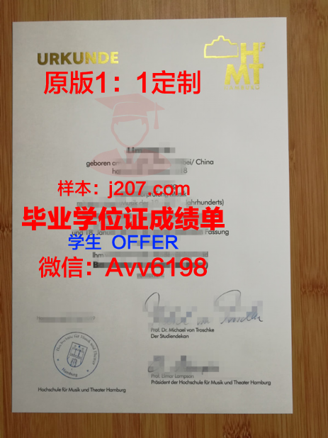 汉堡-哈尔堡工业大学毕业证成绩单：一张纸的重量