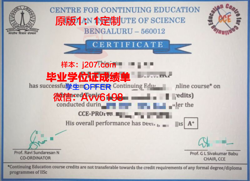 阿兰努斯艺术与社会科学学院的毕业证啥样