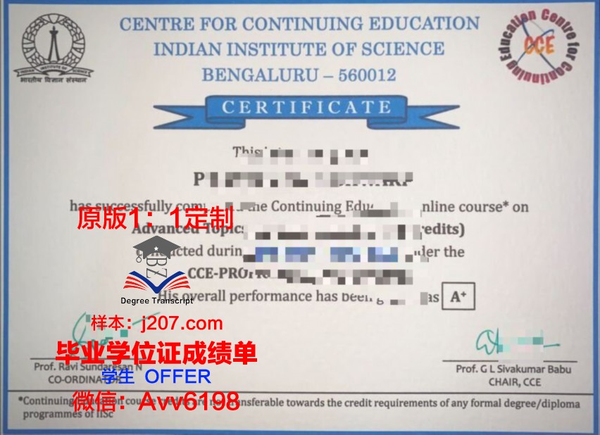 阿兰努斯艺术与社会科学学院的毕业证啥样