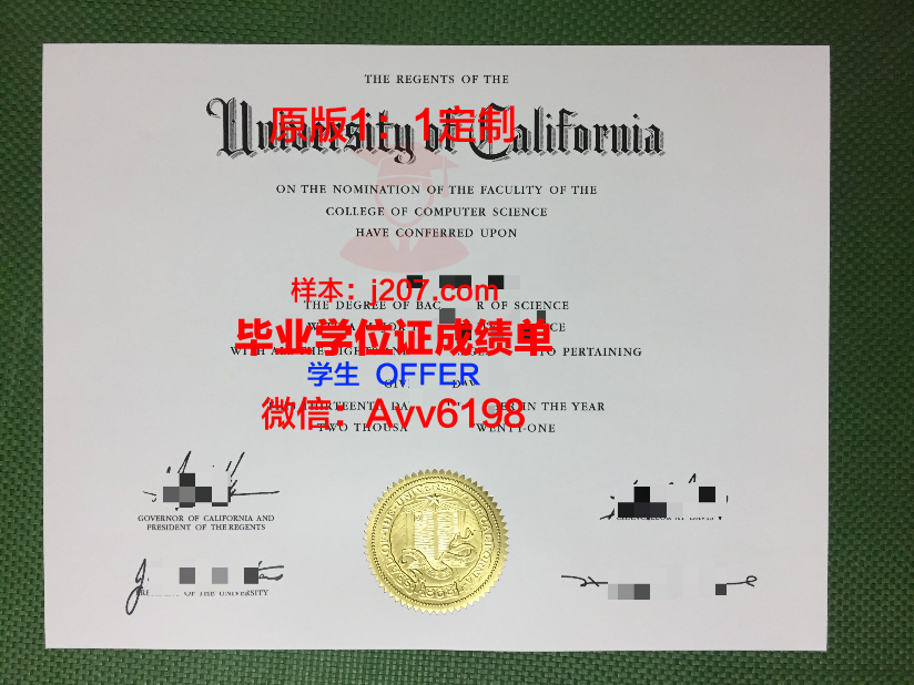 罗萨大毕业证成绩单：一份承载梦想与努力的证明
