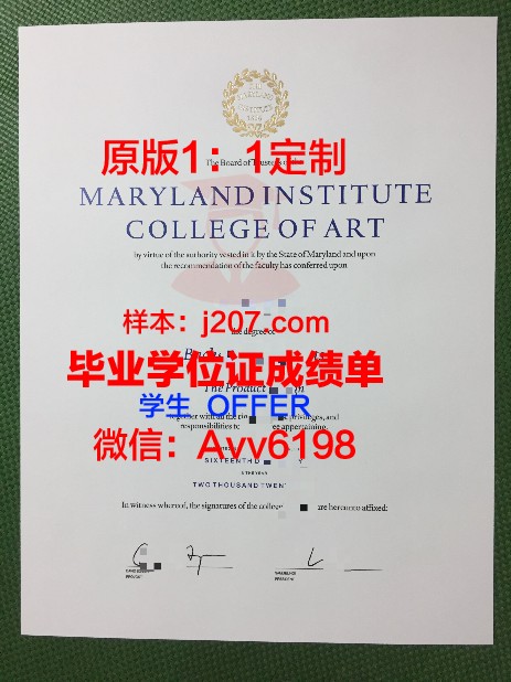 高等应用艺术学院毕业证书图片(高等应用艺术学院毕业证书图片样本)