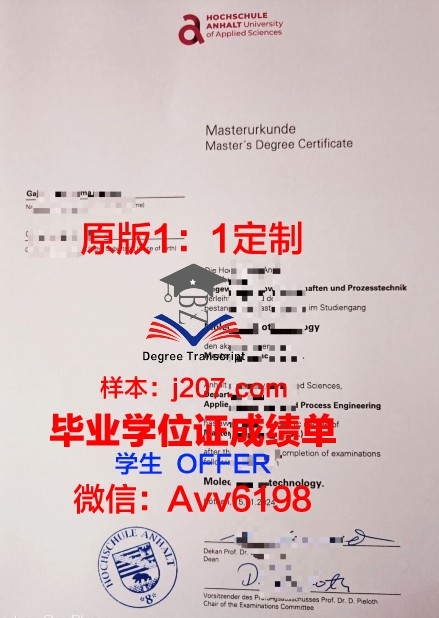 沃尔姆应用技术大学博士毕业证(德国沃尔姆斯应用技术大学)