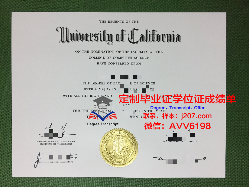 罗塔克马哈希达亚南德大学毕业证：一张通往未来的通行证