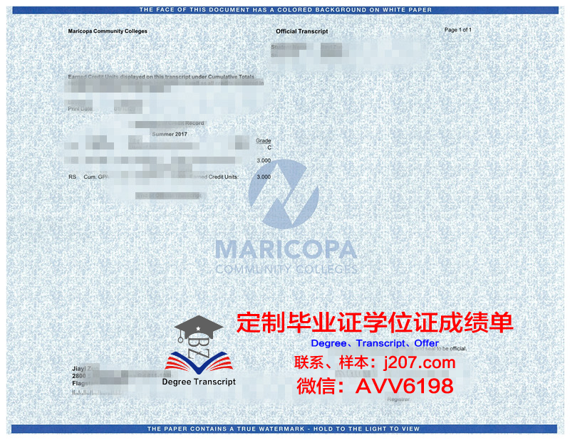 马里博尔本科毕业证：跨越国界的学术认可与人生新篇章