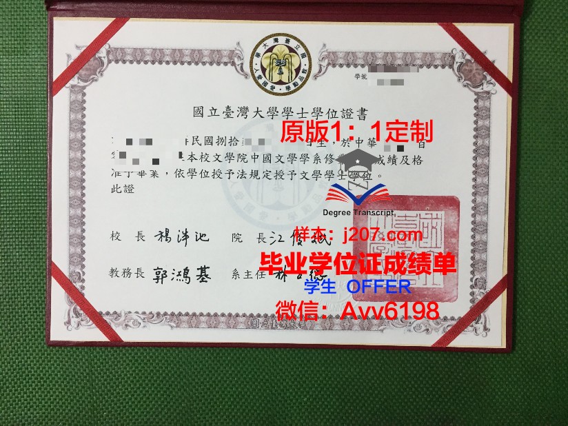 罗斯托夫国立经济大学文凭(罗斯托夫国立经济大学排名)