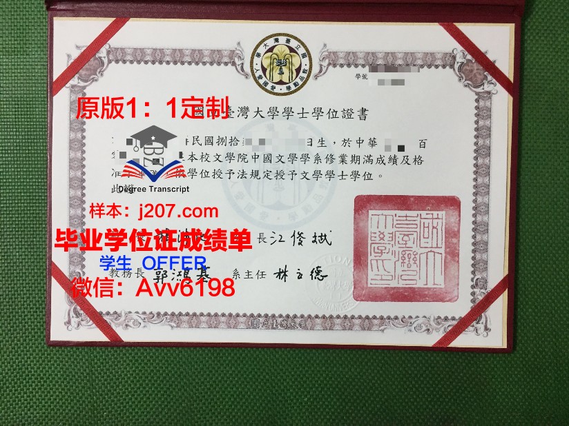 罗斯托夫国立经济大学毕业证图片(罗斯托夫国立建筑与艺术学院)