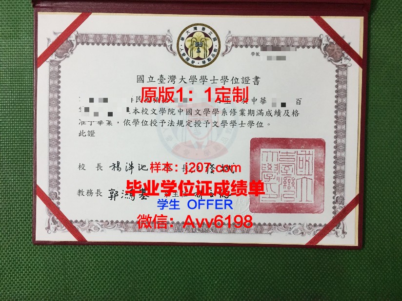罗斯托夫国立师范大学毕业证翻译(罗斯托夫国立建筑与艺术学院)
