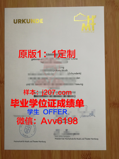 汉堡品牌应用技术大学毕业证成绩单：展现学子实力与荣耀的证书