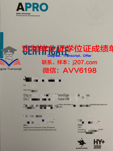 阿尔托大学毕业学位