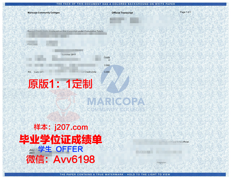 马里国立大学毕业证书模板(马里国立大学毕业证书模板怎么写)