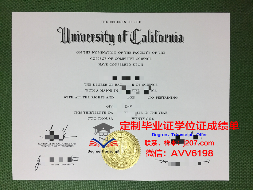 问国外学校要毕业证电子版(国外毕业证有电子版吗)