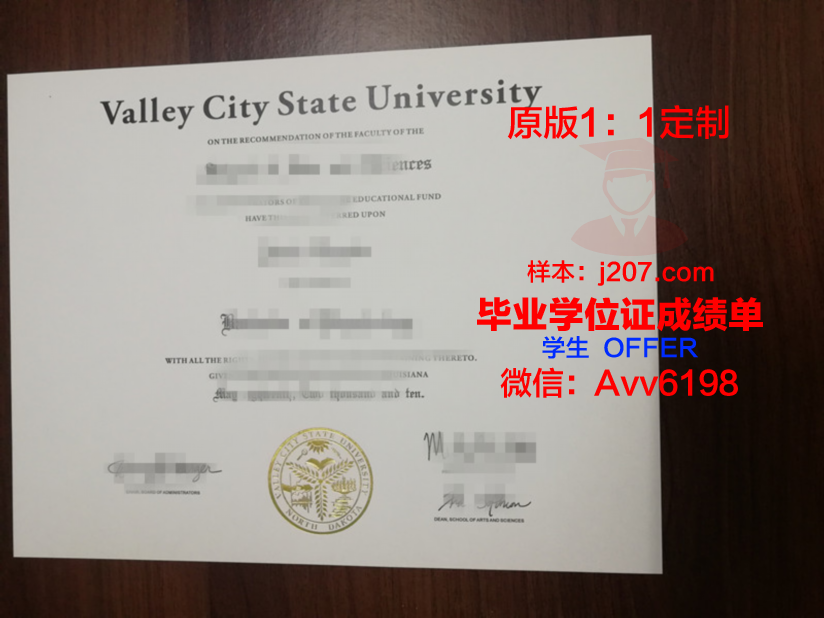 阿卜杜勒·瓦利汗大学毕业证外壳