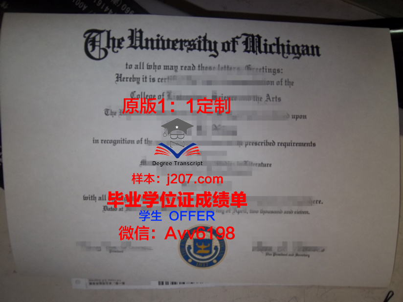 阿尔加夫大学毕业证是什么样子(阿尔加夫杯)