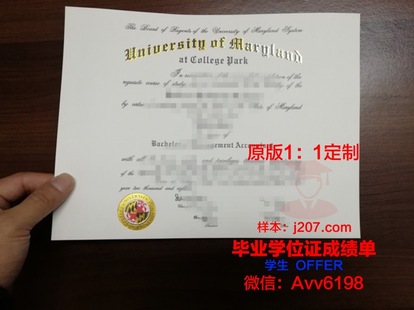 马里兰大学毕业学位