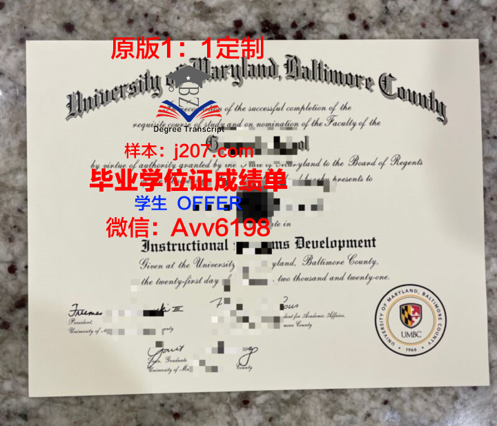 马里兰大学东岸分校毕业文凭