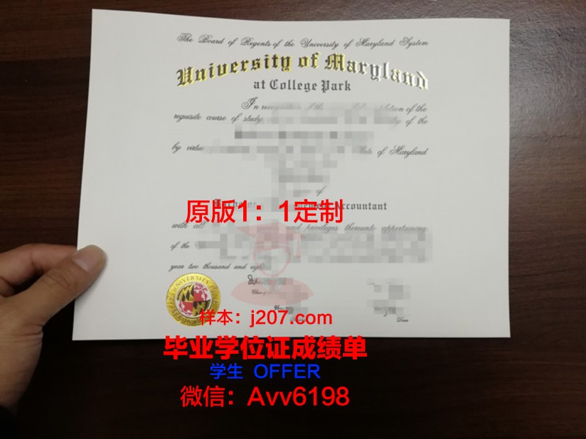 马里兰大学学院公园分校几年可以毕业证(马里兰大学吧)