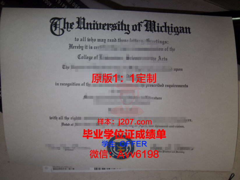 罗斯托夫国立大学毕业证成绩单：一份承载荣誉与梦想的证明