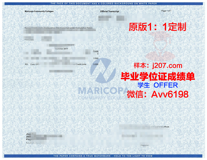 马里乌波尔国立人文大学毕业证模板