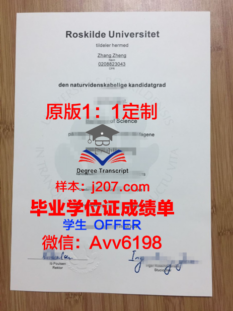 罗斯基勒大学毕业证：一张通往未来的通行证