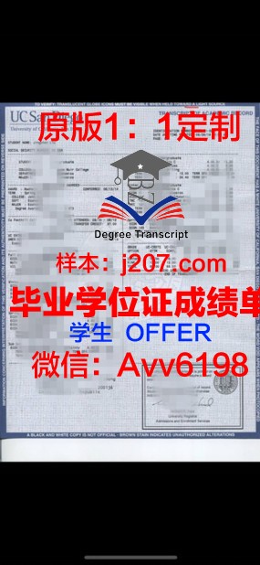 高等电子工程工程师学院学位成绩单定制：专业人才的素质认证