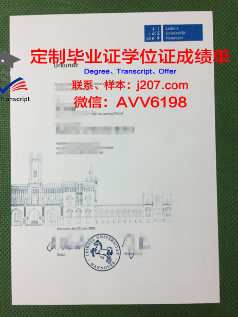 汉诺威大学成绩单：德国教育品质的见证