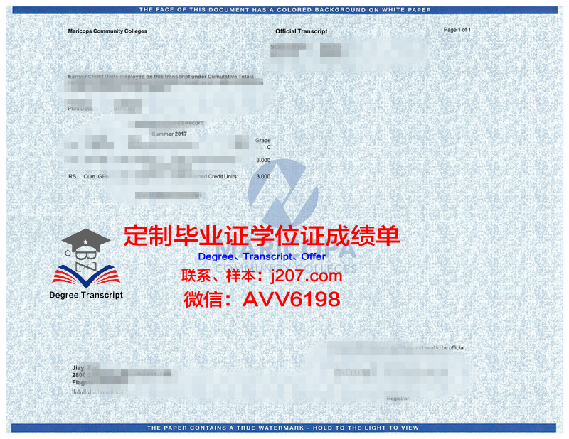 马里乌波尔国立大学成绩单：一张承载希望与梦想的纸