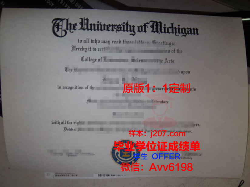 沈阳理工大学毕业证成绩单(沈阳理工大学毕业证查询)
