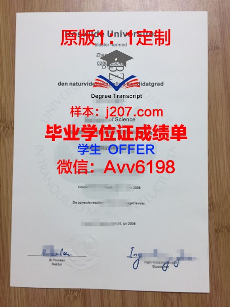 罗斯基勒大学毕业证：一张通往未来的通行证