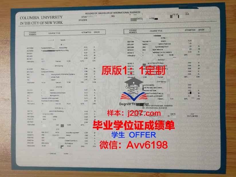 高等电子工程工程师学院学位成绩单定制：专业人才的素质认证