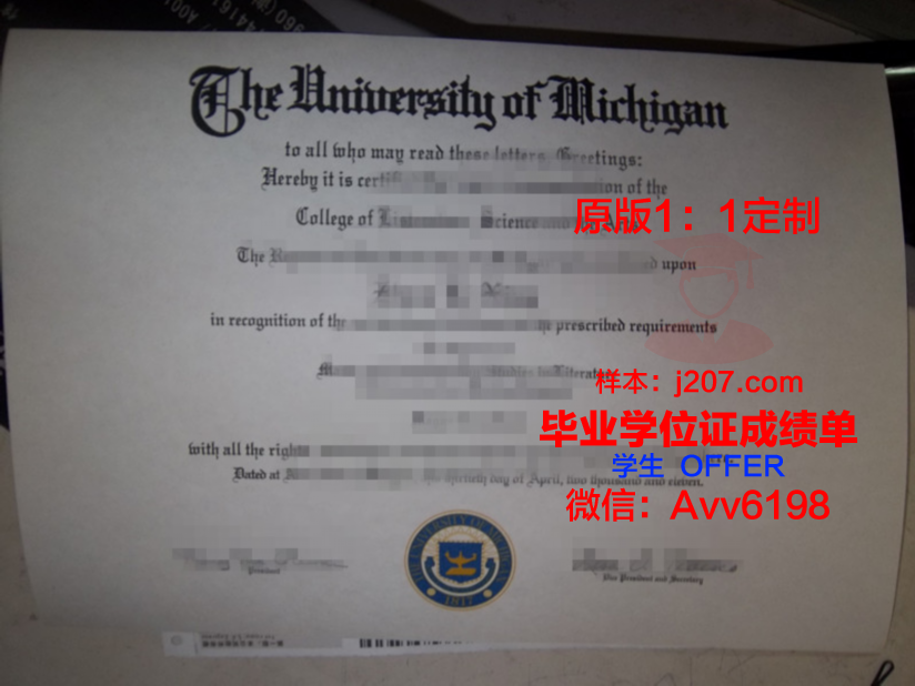 罗塔克马哈希达亚南德大学毕业证：一张通往未来的通行证