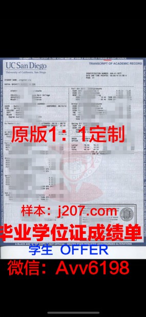 江陵岭东大学成绩单：一份记录时光的珍贵记忆