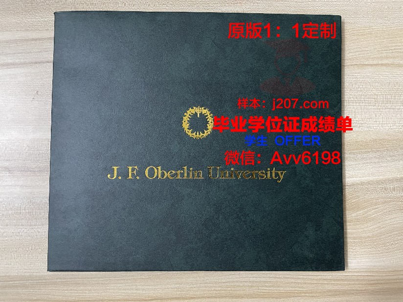 罗伊特林根应用技术大学毕业证书图片(洛特林根大学商学院)