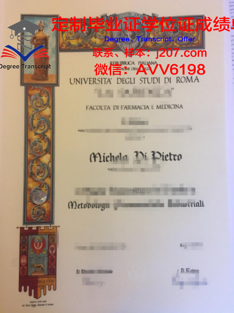 罗马第三大学毕业学位
