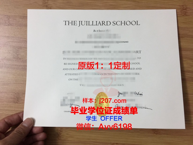 罗维戈音乐学院毕业证：通往音乐之门的通行证