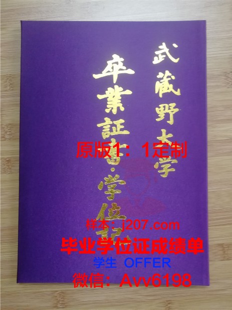 沙东工作室毕业证壳子