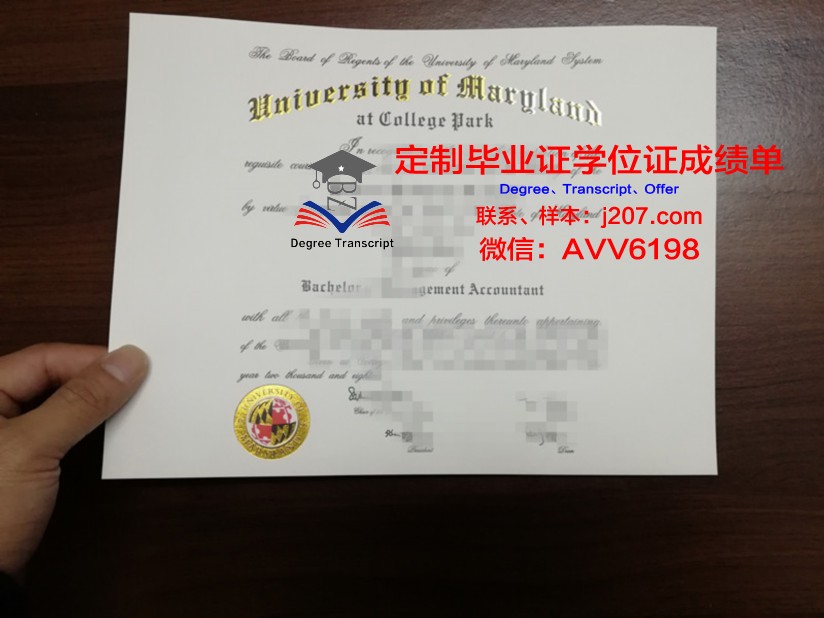 马里兰大学巴尔的摩郡分校毕业证模板 University of Maryland, Baltimore County Diploma
